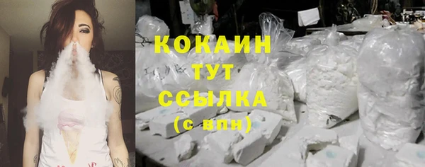 шишки Балахна
