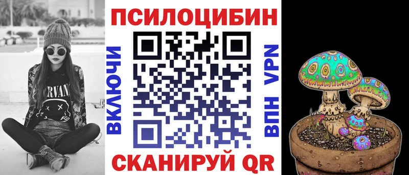 Галлюциногенные грибы Psilocybine cubensis  Белёв 